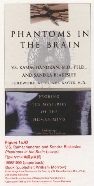 Caption left top: · Figure 1a.43 · V.S. Ramachandran and Sandra Blakeslee · Phantoms in the Brain (cover) · 1998/999 (paperback) · Book (publisher: William Morrow)