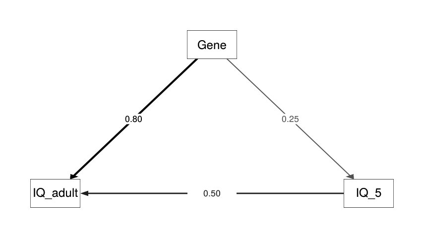 Path model relating childhood IQ measured at age 5, final adult IQ, and SNP heritability