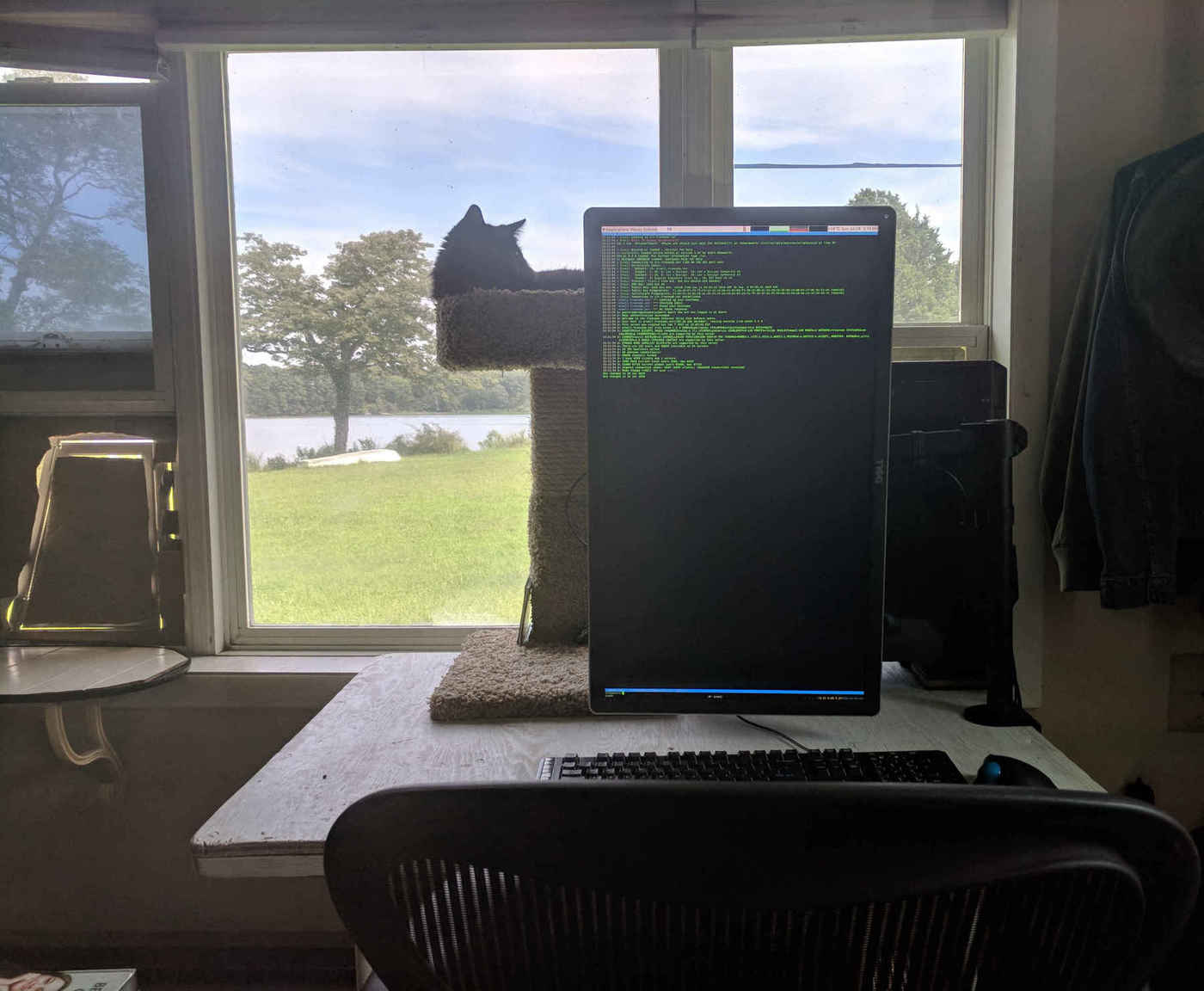 A photo of my workstation & window view as of 2018-07-29, showing the used Aeron chair, Dell monitor in portrait mode, and the workstation; sleeping in the cat tree is my cat.