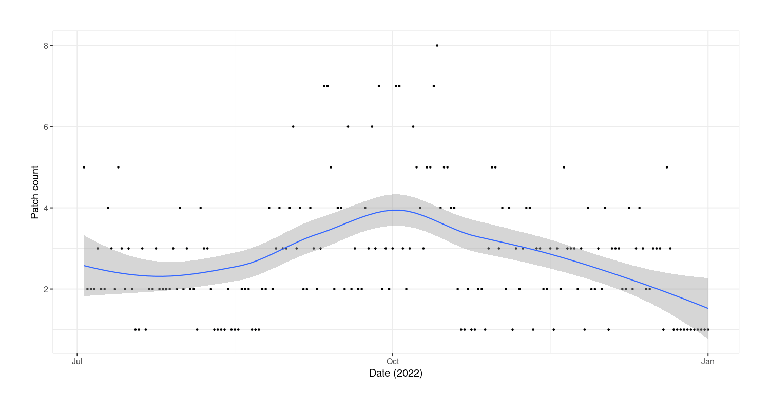 Plot of patch creations (y-axis) versus date (x-axis): July 2022–January 2023