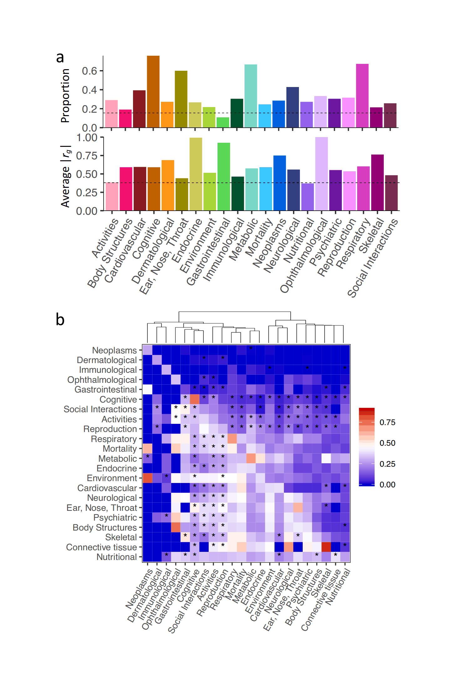 Watanabe et al 2018: “Fig. 2. Within and between domains genetic correlations. (a.) Proportion of trait pairs with significant rg (top) and average |_rg_| for significant trait pairs (bottom) within domains. Dashed lines represent the proportion of trait pairs with significant rg (top) and average |rg| for significant trait pairs (bottom) across all 558 traits, respectively. Connective tissue, muscular and infection domains are excluded as these each contains less than 3 traits. (b.) Heatmap of proportion of trait pairs with significant rg (upper right triangle) and average |rg| for significant trait pairs (lower left triangle) between domains. Connective tissue, muscular and infection domains are excluded as each contains less than 3 traits. The diagonal represents the proportion of trait pairs with significant rg within domains. Stars denote the pairs of domains in which the majority (>50%) of significant rg are negative.”