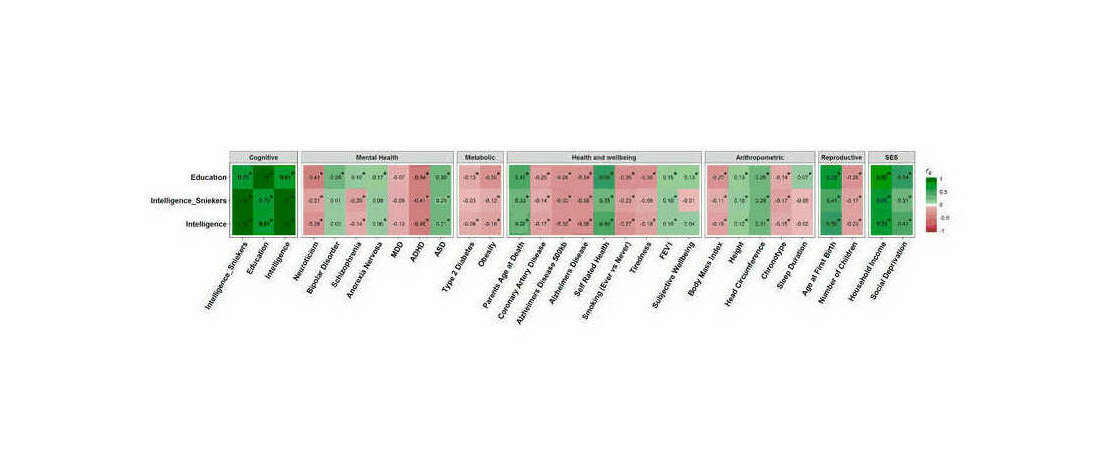 “Fig. 4: Heat map showing the genetic correlations between the meta-analytic intelligence phenotype, intelligence, education with 29 cognitive, SES, mental health, metabolic, health and wellbeing, anthropometric, and reproductive traits. Positive genetic correlations are shown in green and negative genetic correlations are shown in red. Statistical-significance following FDR (using Benjamini-Hochberg procedure [51]) correction is indicated by an asterisk.”