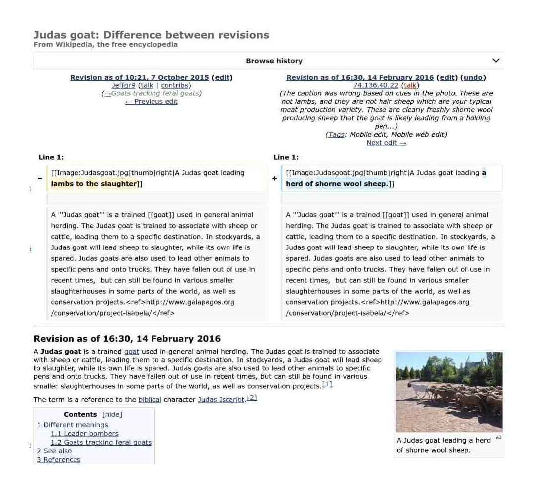 Screenshot of an anonymous WP editor removing a subtle bit of humor from the 'Judas goat' article. An important editing contribution